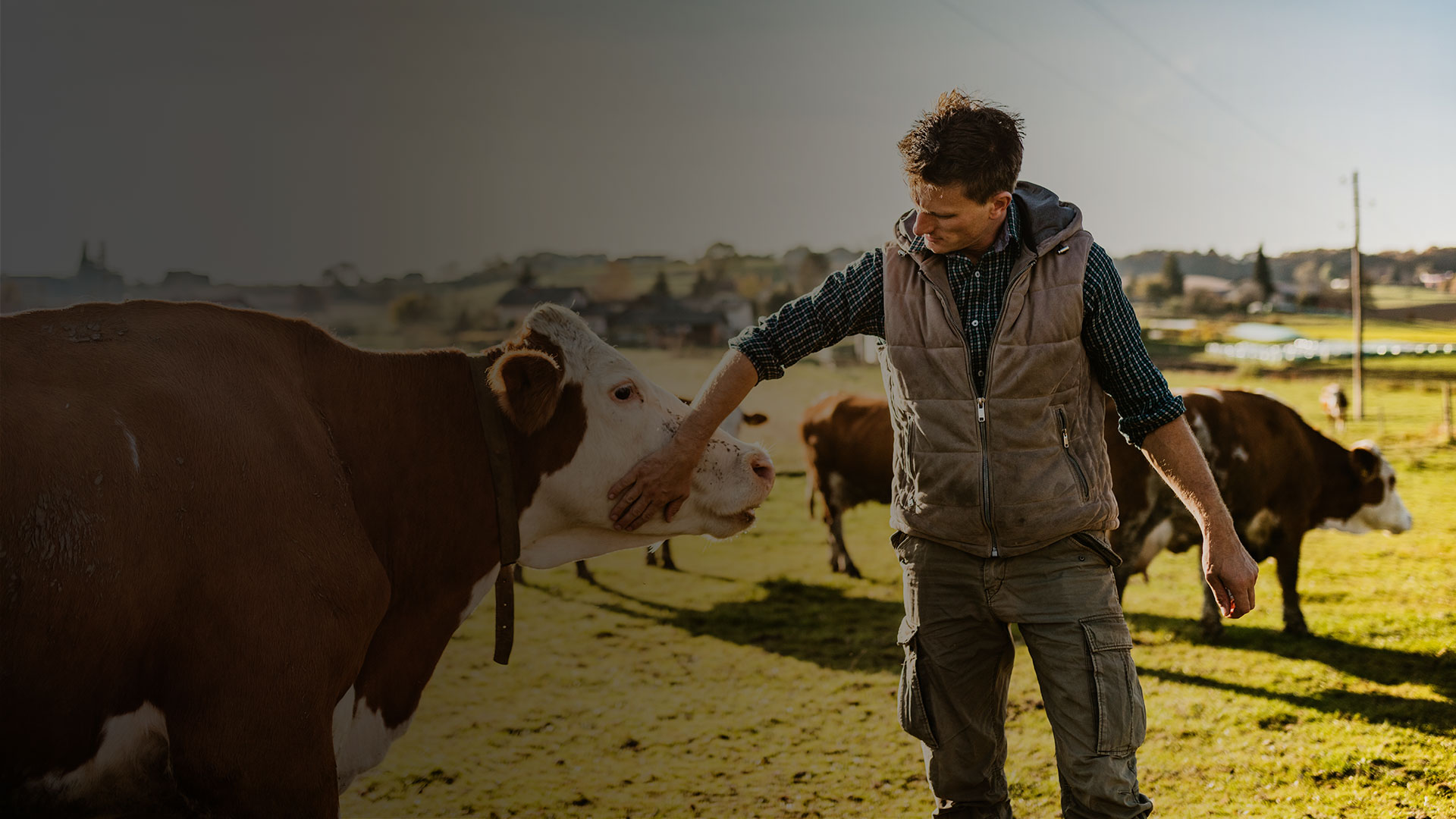 Qualität & Fleischherkunft