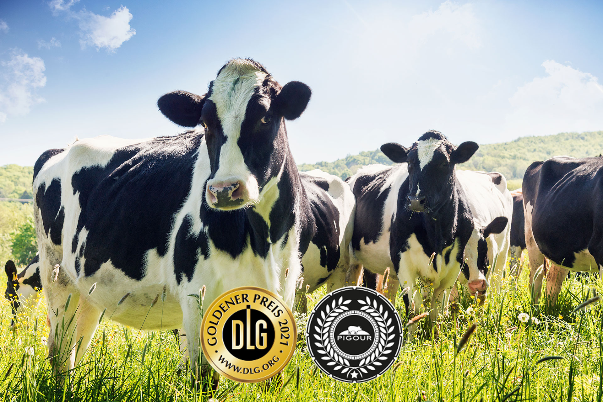 Qualität und Fleischherkunft